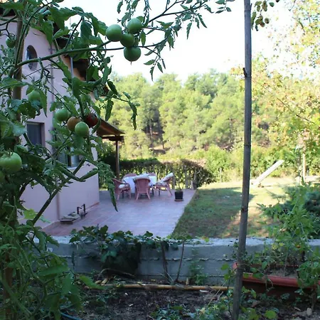 House Armonia Villa *