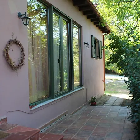 House Armonia فيلة *